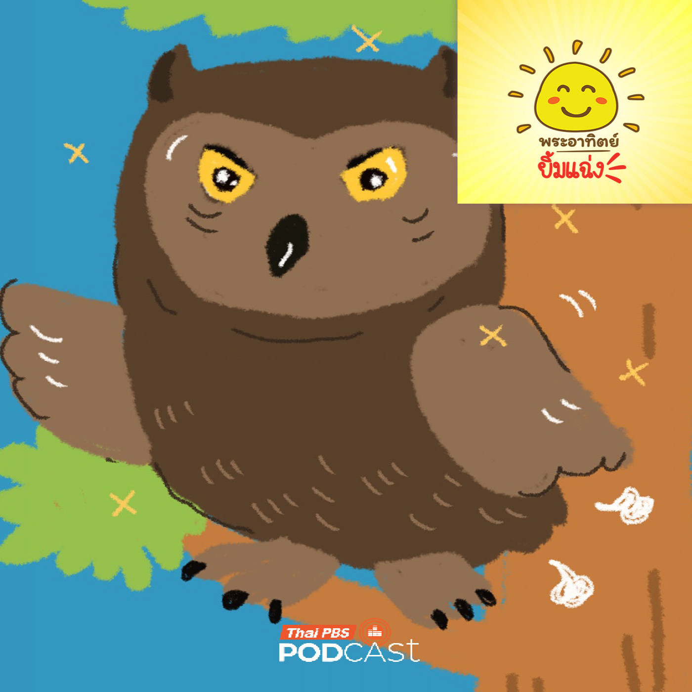 EP. 2035: นกฮูกตัวกลมมี หาง ไหมนะ