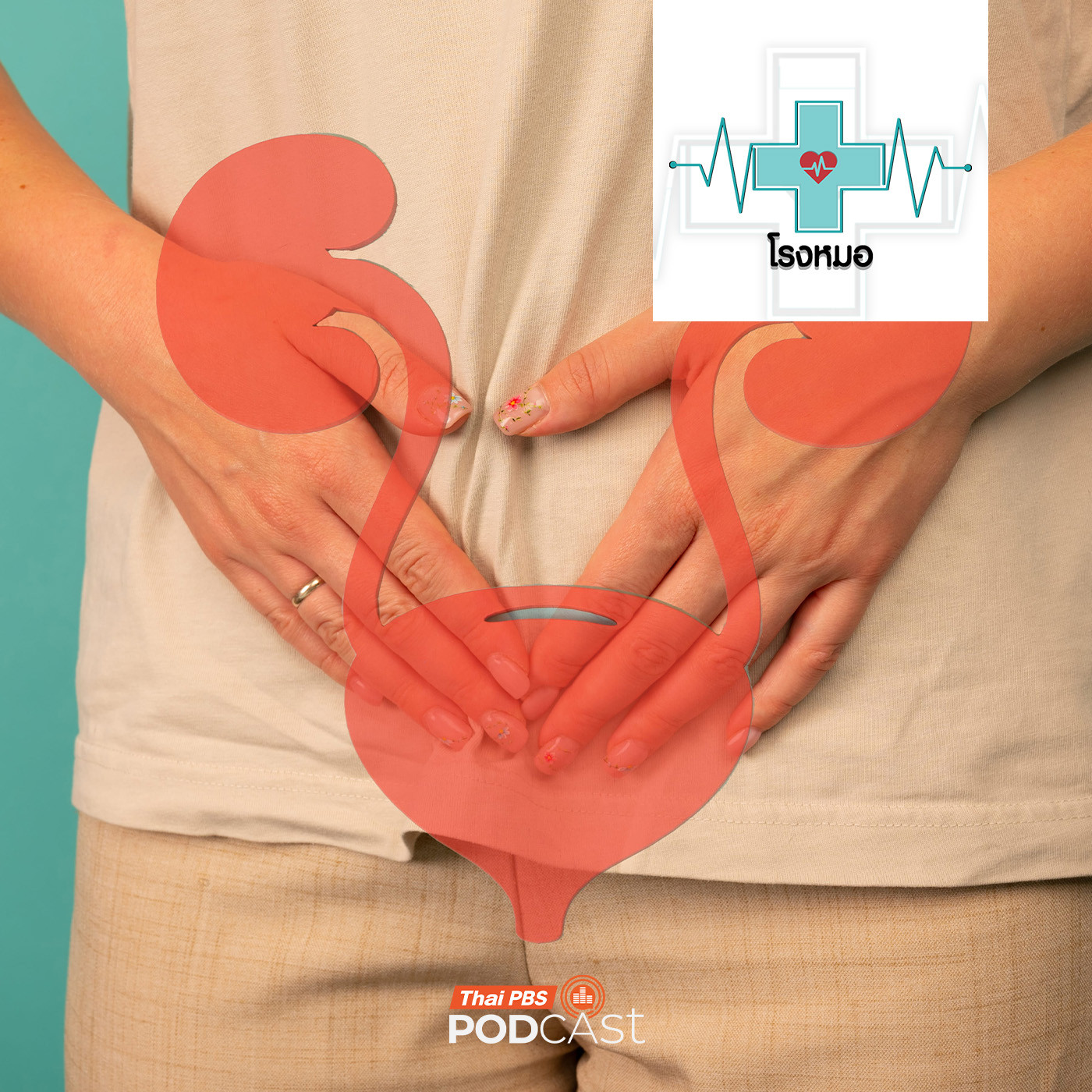 EP. 1206: กลั้นฉี่ กินน้ำน้อย มีเพศสัมพันธ์บ่อย ระวัง !! กระเพาะปัสสาวะอักเสบ ภัยเงียบของสาว ๆ