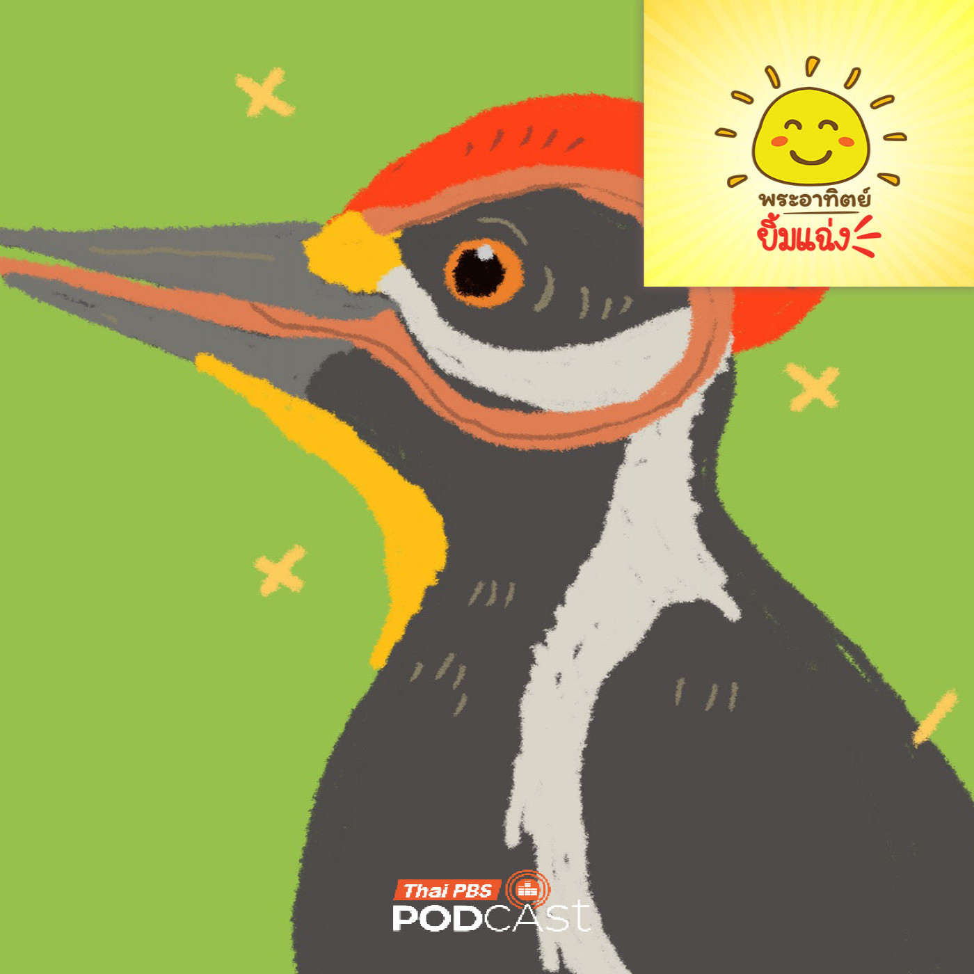 EP. 2041: ลิ้นนกหัวขวานยาวพันสมองได้นะ