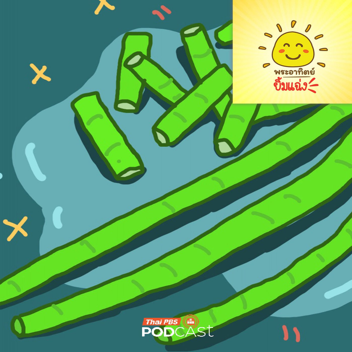 EP. 2049: ทำไมถั่วฝักยาวต้องยาว 