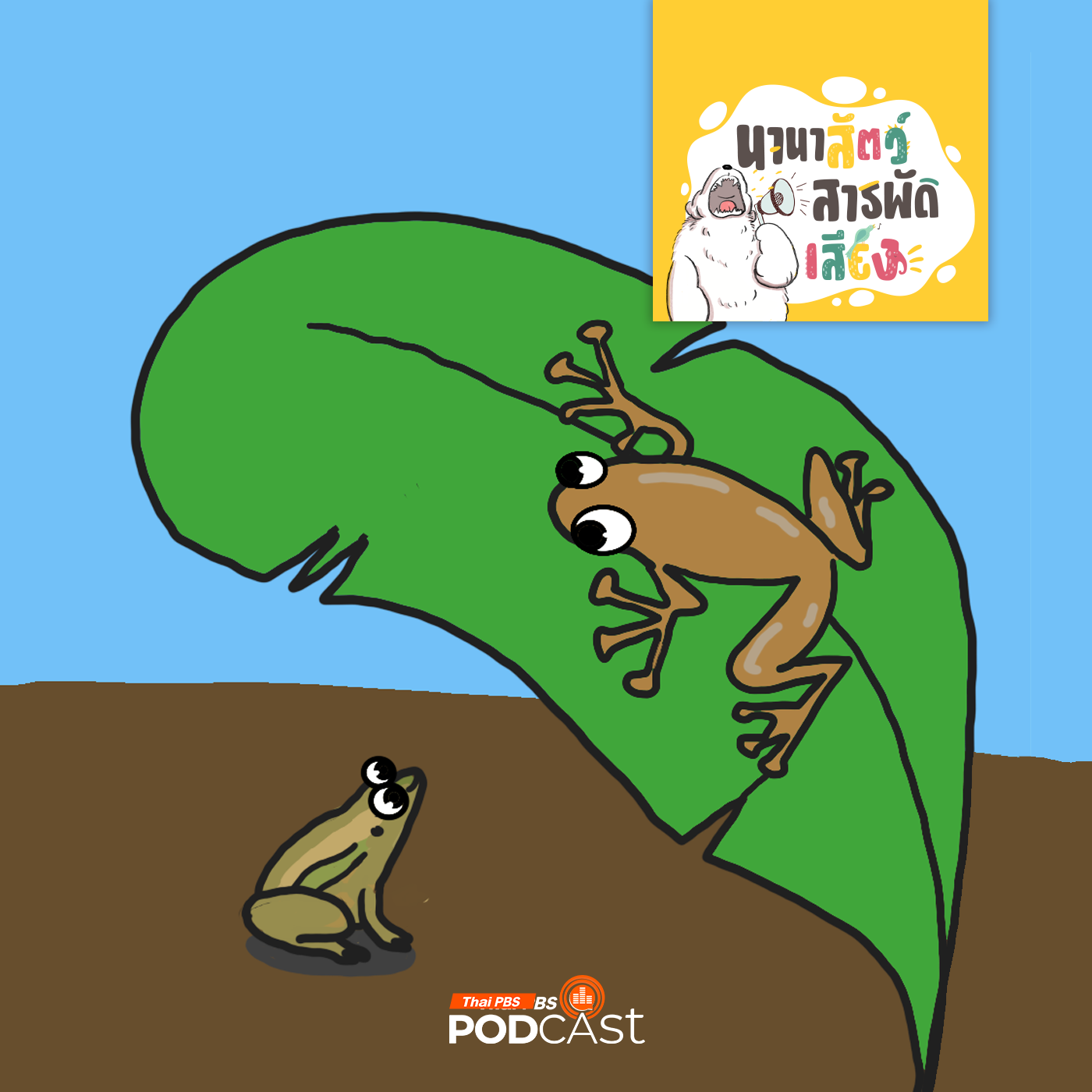 EP. 230: เขียดกับปาด ญาติต่างขั้ว 