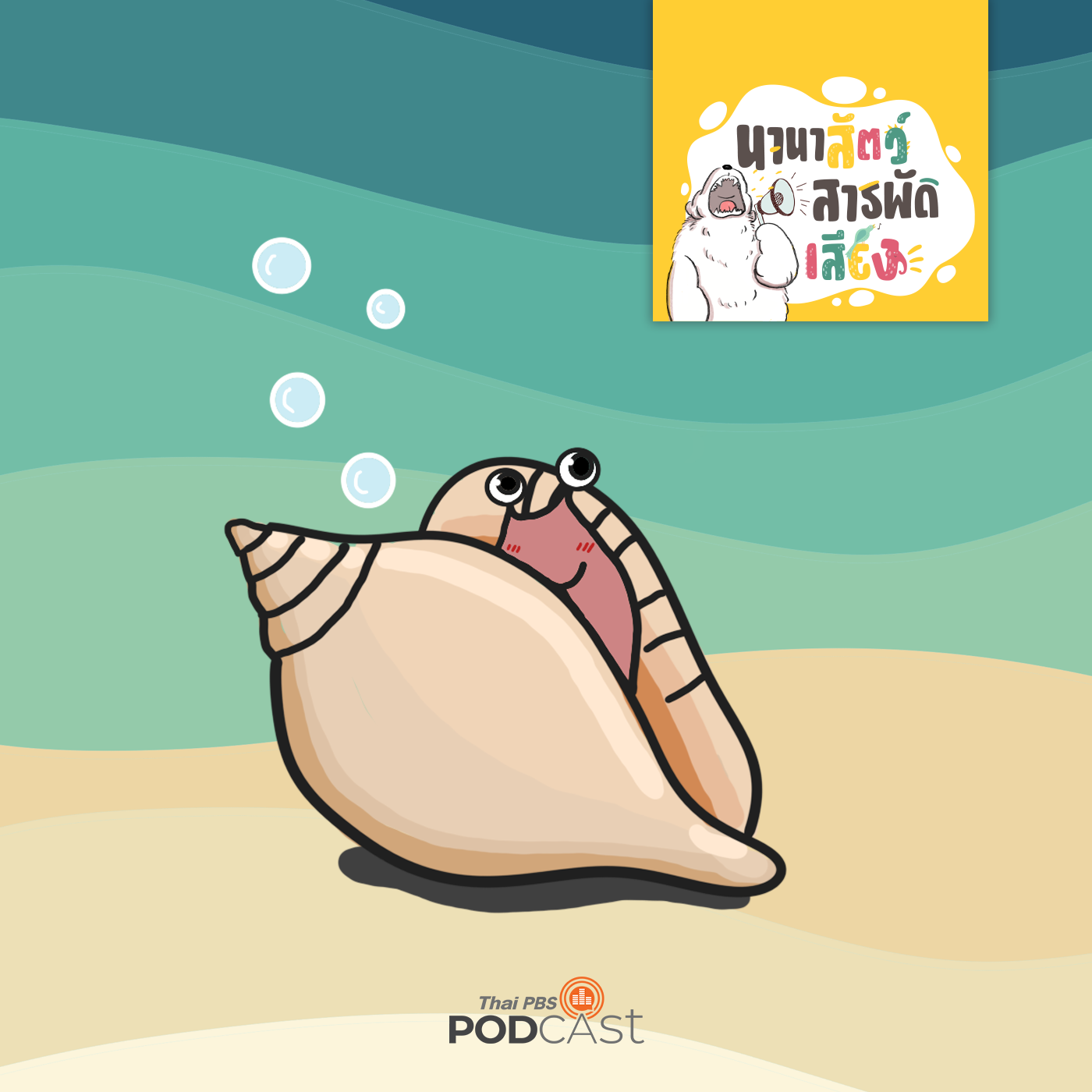 EP. 235: หอยสังข์ จากอสูรร้ายกลายเป็นหอยทะเล