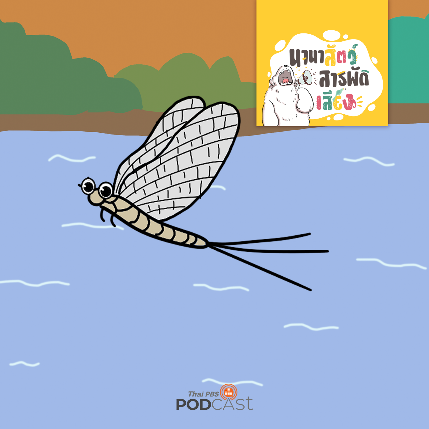 EP. 239: แมลงชีปะขาว สัตว์ที่อายุสั้นที่สุดในโลก