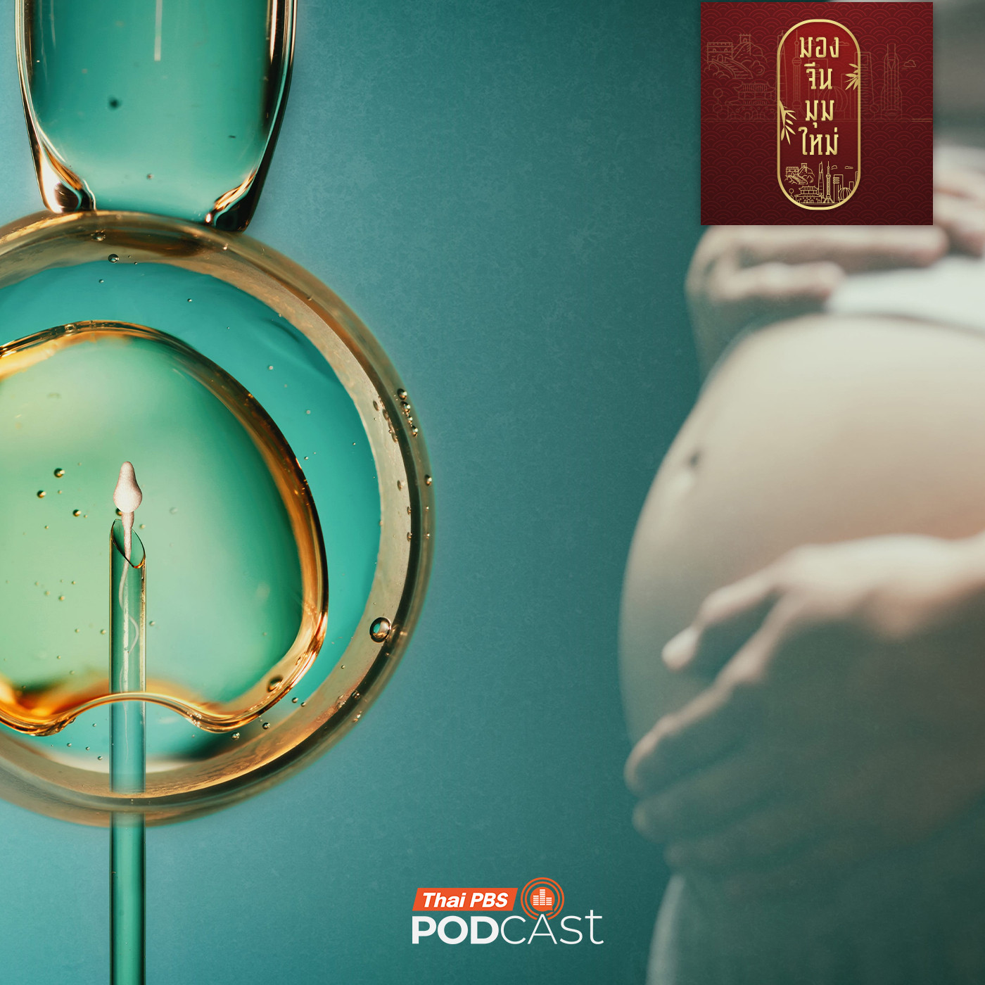 EP. 282: DNA ทะเบียนบ้าน และเด็กหลอดแก้ว  รัฐจีนกำกับการเกิดอย่างไร