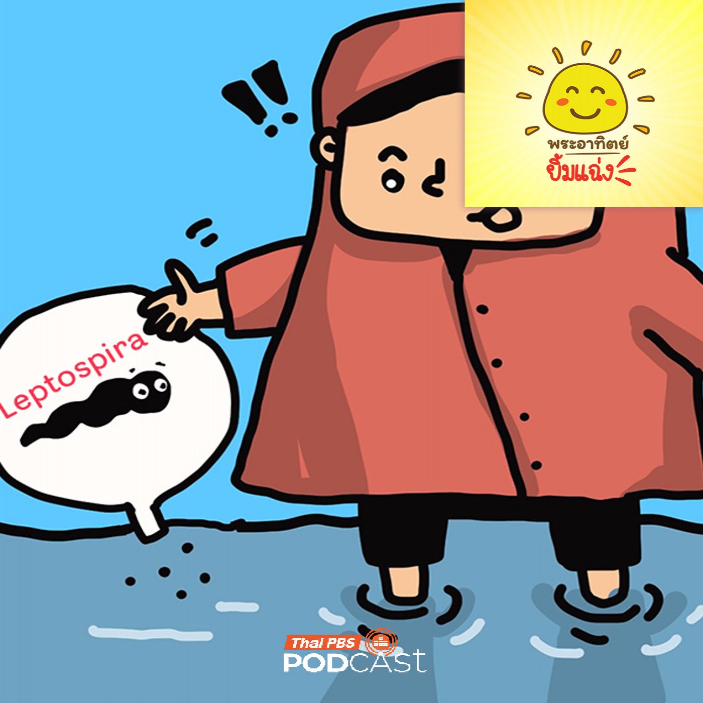 ตัวอะไรซ่อนอยู่ในน้ำขังหลังฝนตก