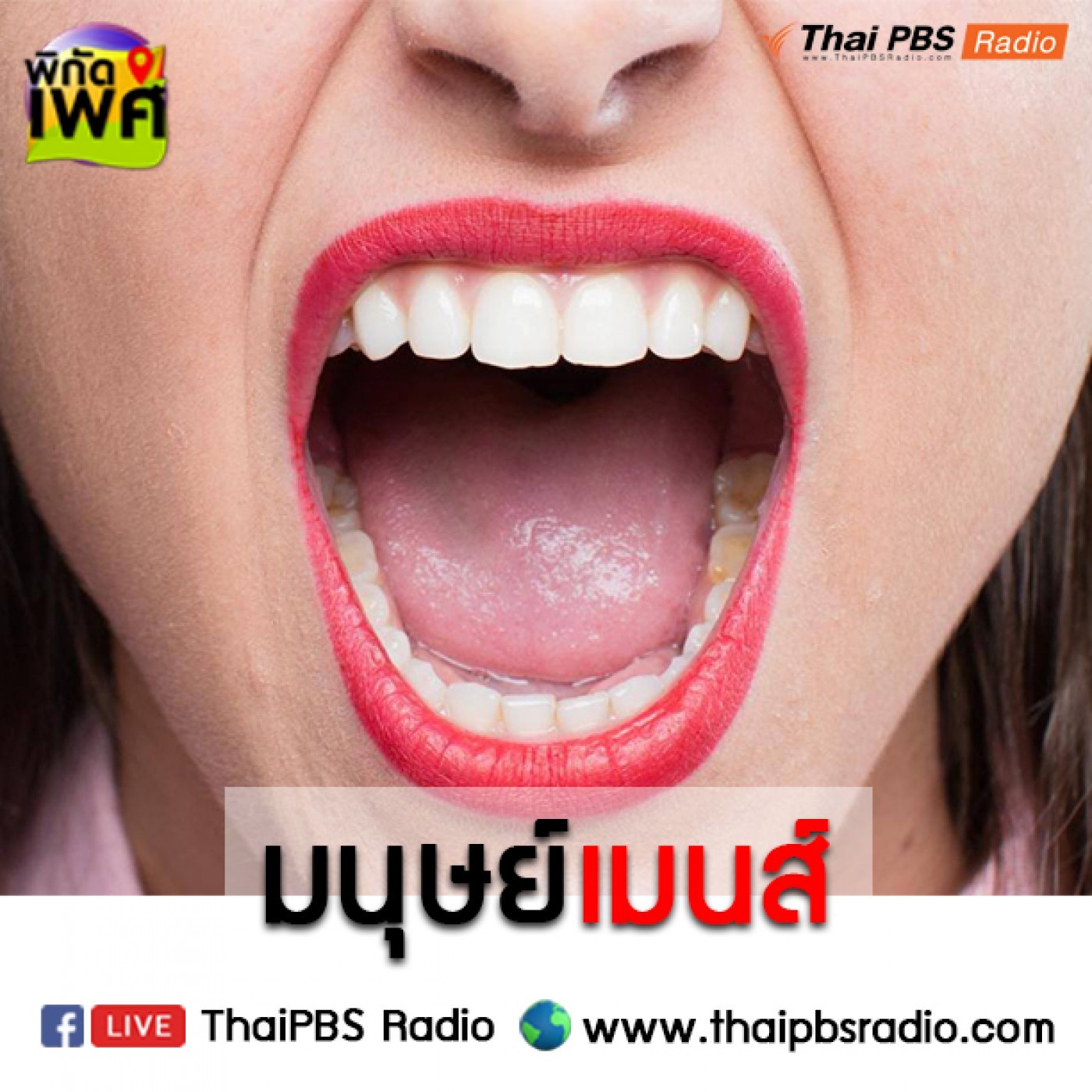 พิกัดเพศ : มนุษย์เมนส์ episode artwork